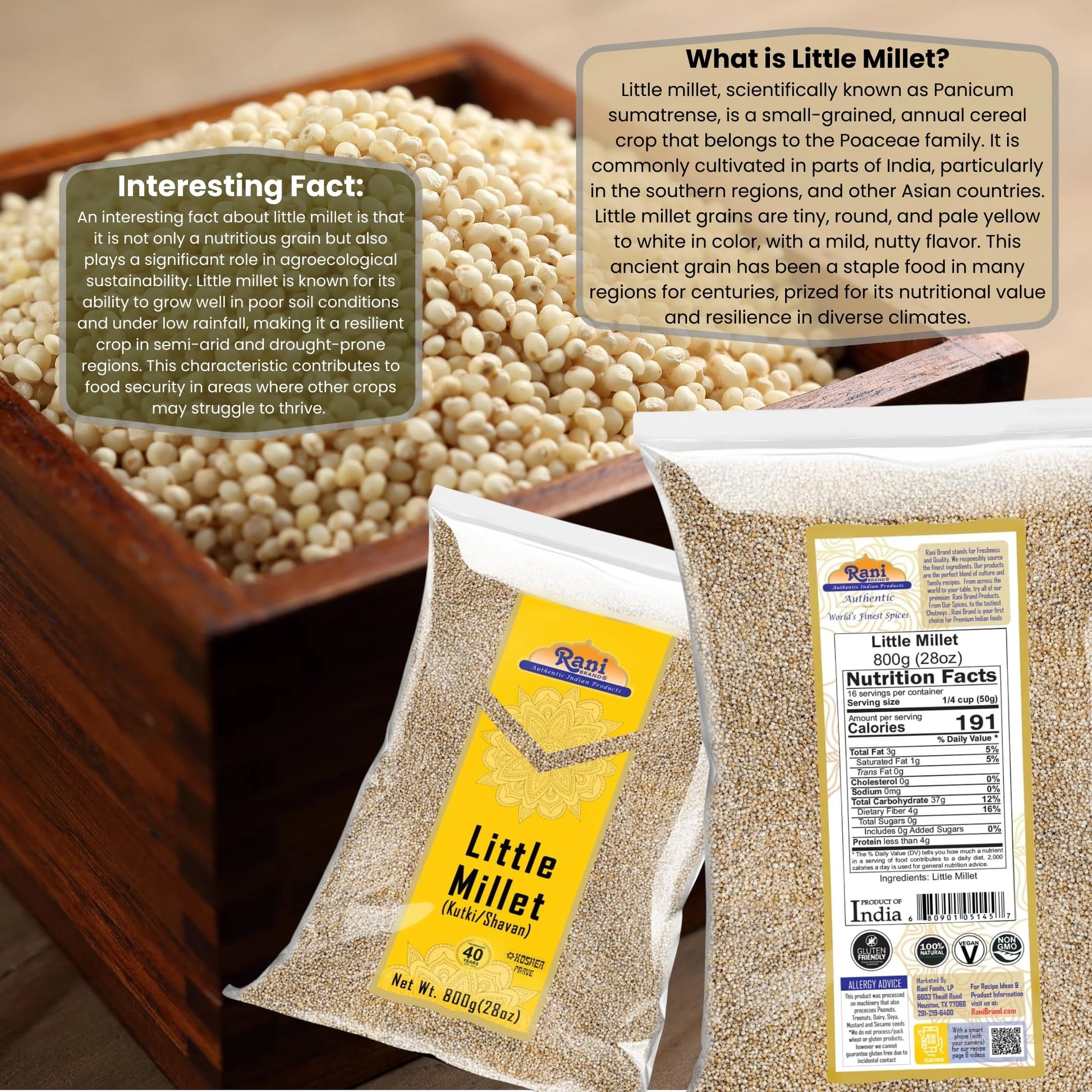 Rani Little Millet (Panicum Sumatrense) Whole Ancient Grain Seeds 28Oz (800G) ~ All Natural | Gluten Friendly | NON-GMO | Kosher | Vegan | Indian Origin | Kutki / Shavan / Saamai / Sama Kannada