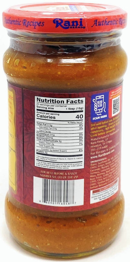 Rani Kashmiri Masala Curry Paste 10.5Oz (300G) Glass Jar ~ All Natural | NON-GMO | Vegan | Gluten Free | Indian Origin, Cooking Spice Paste