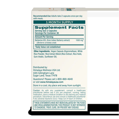 Berberine for Metabolism & Cholesterol Support, GI Support & Immune Support, 60 Capsules