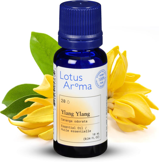 Premium Grade Ylang Ylang Essential Oil, 100% Pure & Undiluted, Relaxing Scent, Natural Essential Oil for Humidifier, Aromatherapy Oil, Fragrance Oil - Huile Essentielle 0.3Oz (10Ml)
