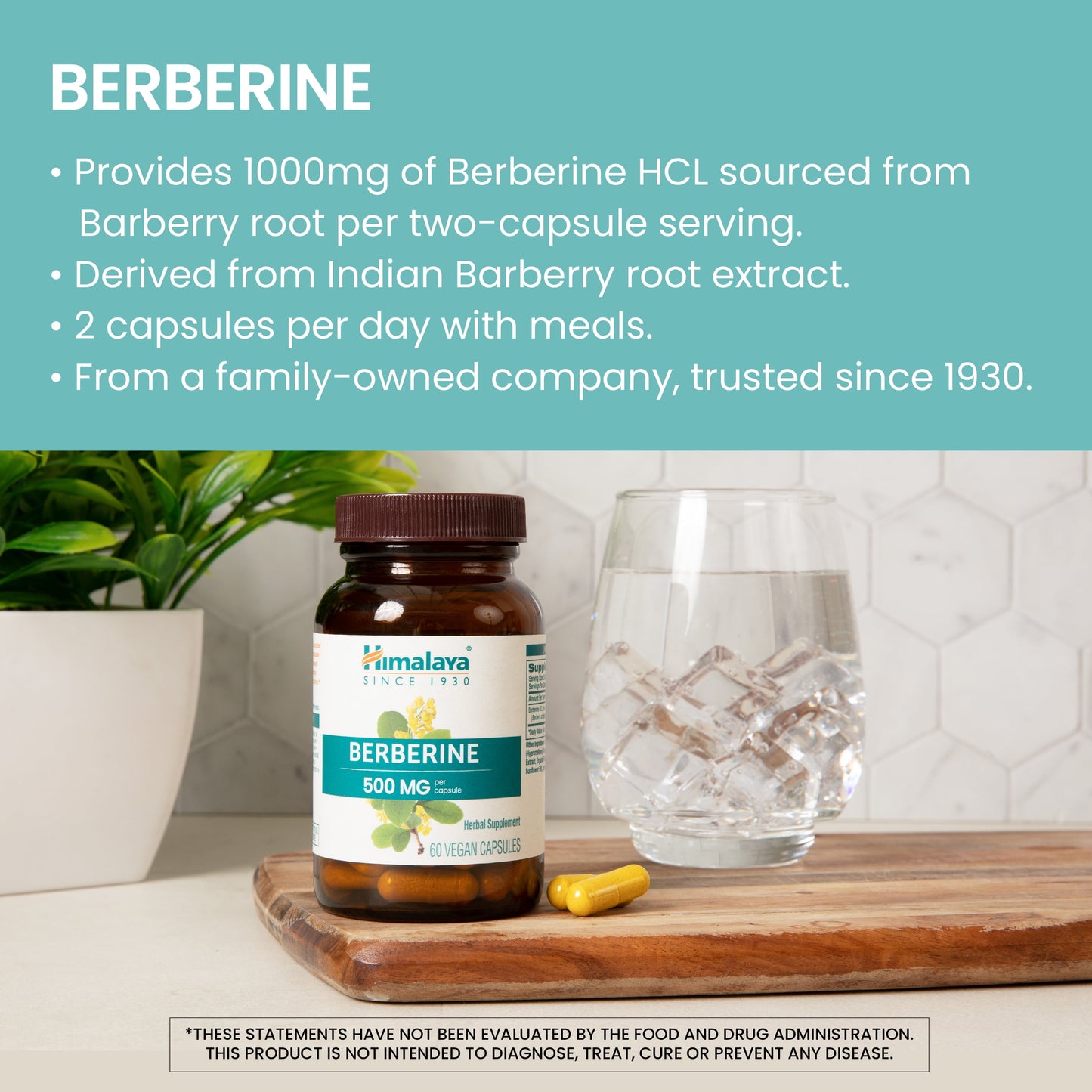 Berberine for Metabolism & Cholesterol Support, GI Support & Immune Support, 60 Capsules