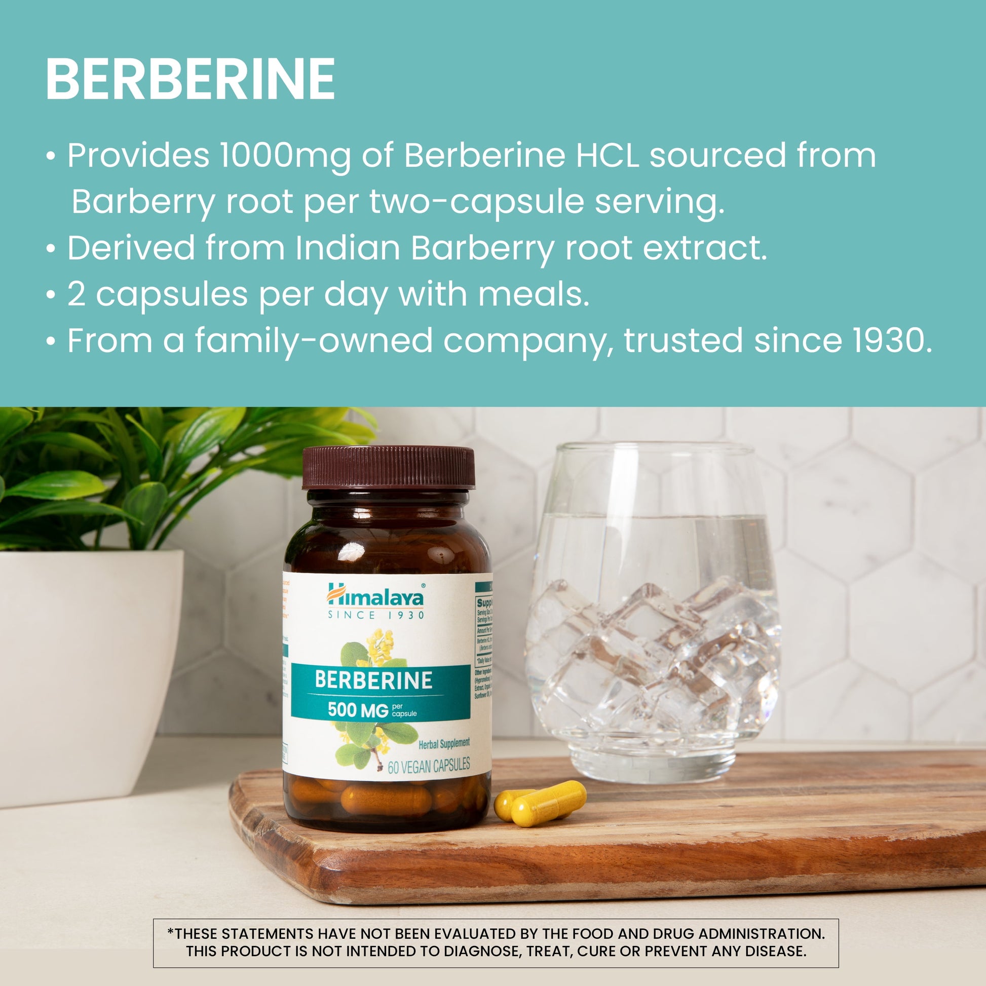 Berberine for Metabolism & Cholesterol Support, GI Support & Immune Support, 60 Capsules