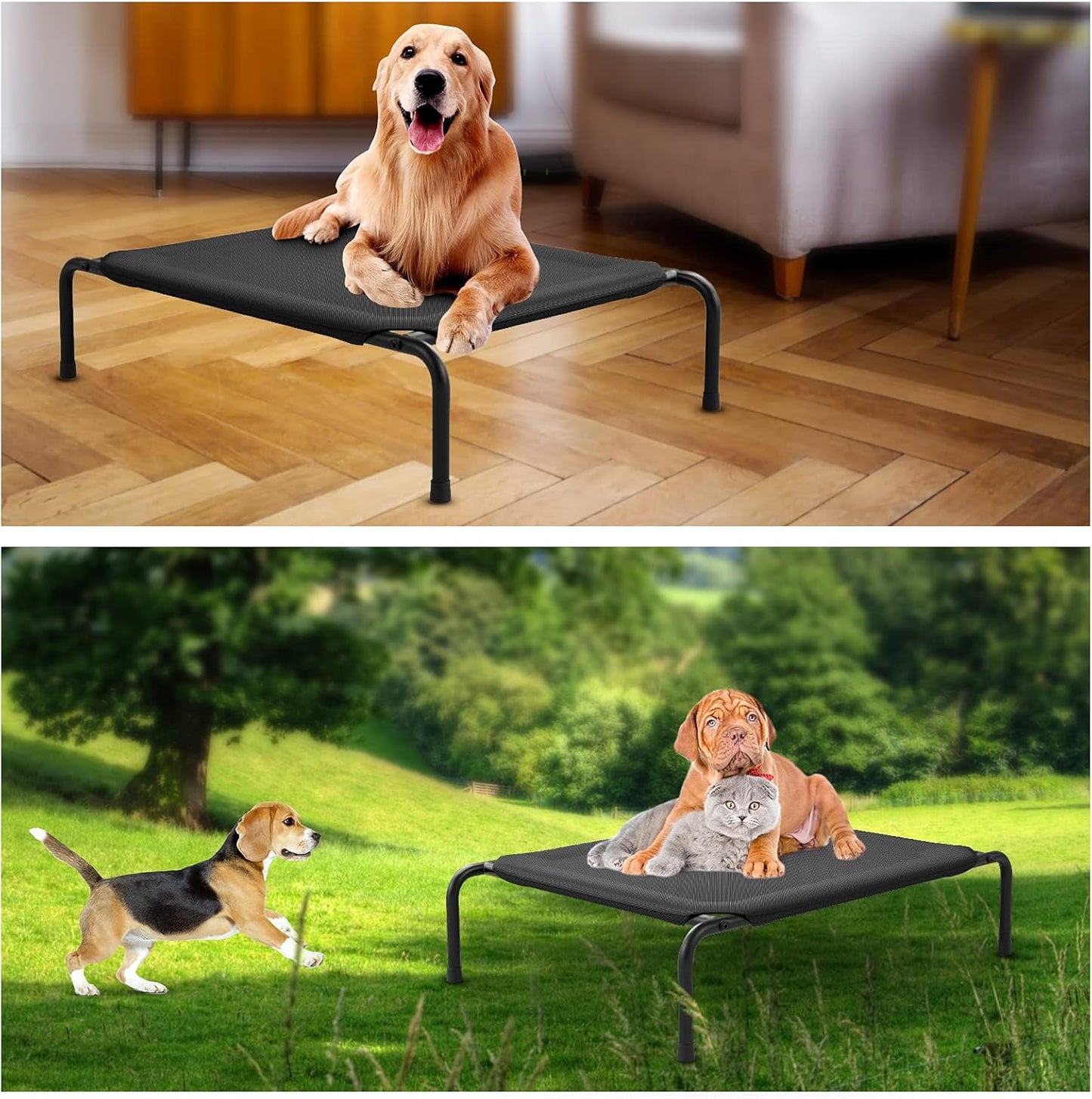 Elevated Dog Bed for Small Medium Large Dogs and Pets Portable Raised Pet Cooling Cot with Breathable Mesh Durable Frame Washable Ped Bed for Camping or Beach Indoor or Outdoor Use, a M