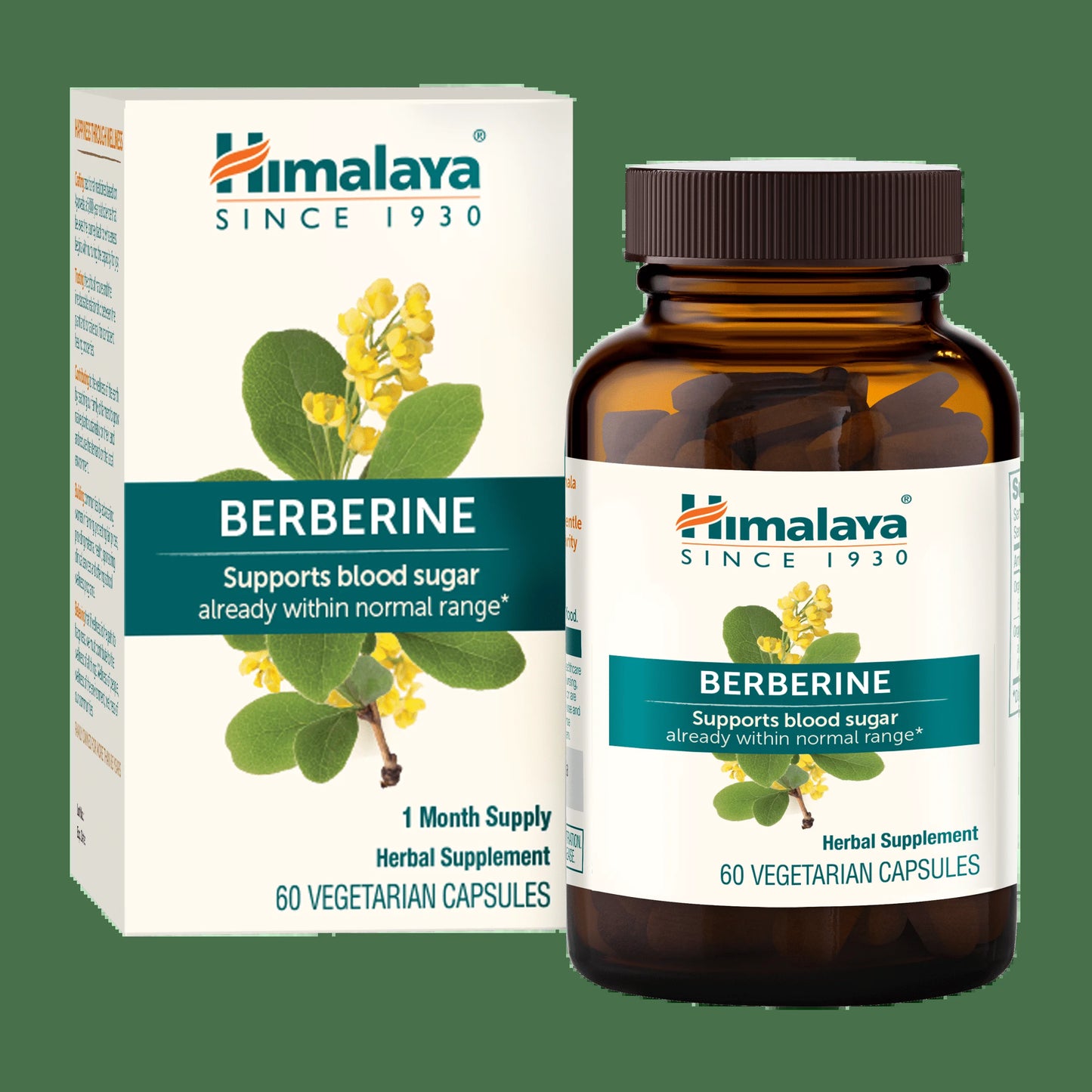 Berberine for Metabolism & Cholesterol Support, GI Support & Immune Support, 60 Capsules