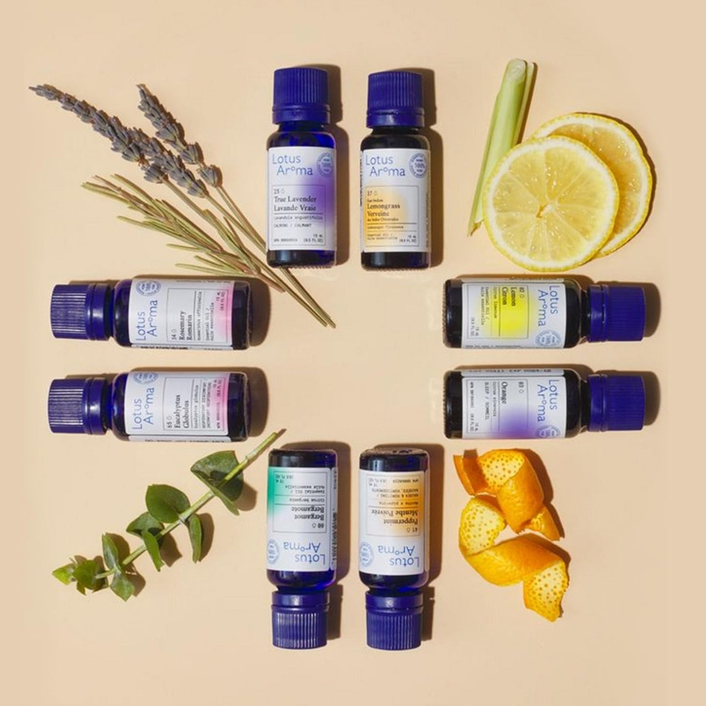 Premium Grade Ylang Ylang Essential Oil, 100% Pure & Undiluted, Relaxing Scent, Natural Essential Oil for Humidifier, Aromatherapy Oil, Fragrance Oil - Huile Essentielle 0.3Oz (10Ml)