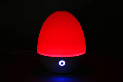 Mini Zen Ultrasonic Diffuser with Color-Changing Lights and Auto Shut-Off - 100Ml