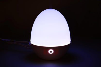 Mini Zen Ultrasonic Diffuser with Color-Changing Lights and Auto Shut-Off - 100Ml